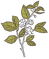 image4-sm